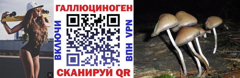 Галлюциногенные грибы мицелий Ахтырский