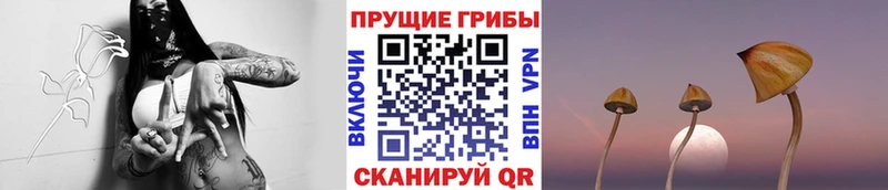 Псилоцибиновые грибы MAGIC MUSHROOMS  Ахтырский 